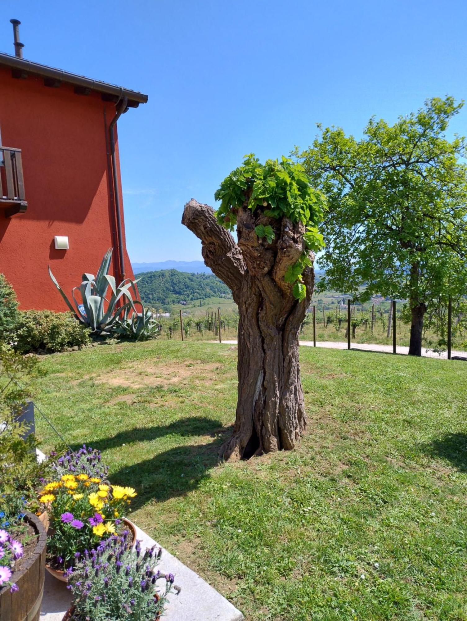 Le Badie Albergo Ristorante Rosazzo Esterno foto